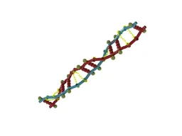 DNA double helix