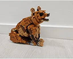 Brown bear