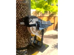 Black-Capped Chickadee Life Sized