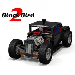 9395 Black Bird 2