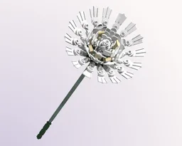 Stokes' Aster - White
