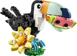 Wild Animals: Tropical Toucan