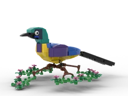 Golden Breasted Starling