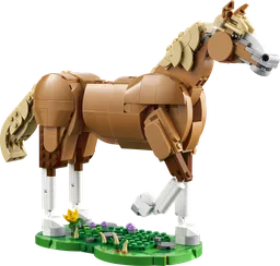 Beautiful Horse