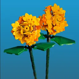 Marigold