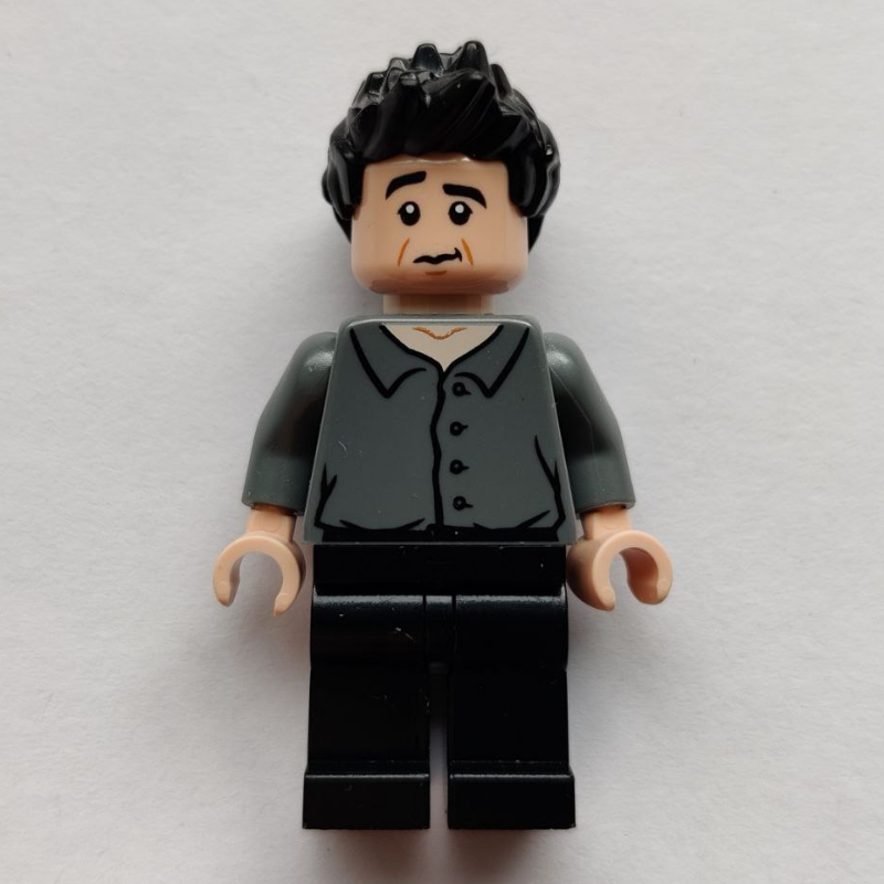 Lego Ross Geller