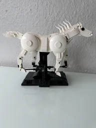 Galloping Horse