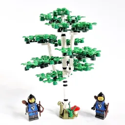 The Birch Tree