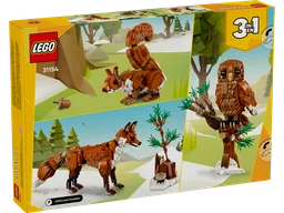 Forest Animals: Red Fox