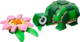 Turtle with a Water Lily Flower