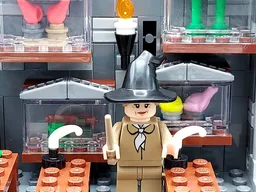 Care of Magical Creatures Classroom
