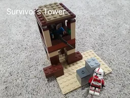 Survivor's Tower