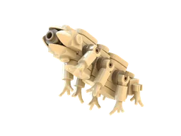 Water Bear!