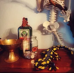 Fire Salamander