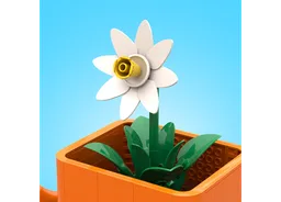 Big Happy Plant