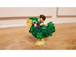 Fantasy Duck