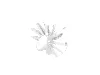Jet Engine Fan with 10 Blades and Technic Pin / Dark Bluish Gray