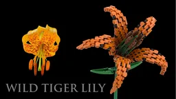 Flower Set