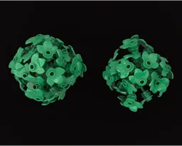 small trees