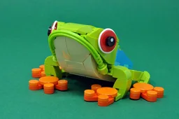 Tree Frog
