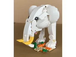 Elephant Head