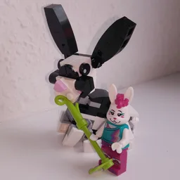 30641 Silly Rabbit