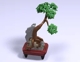 Rooted bonsai in a footed pot