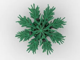 Pine Tree