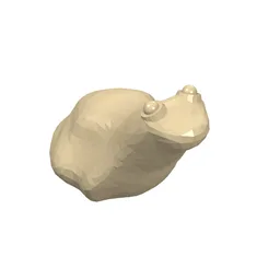Animal, Frog / Tan