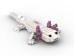 31129 axolotl