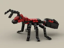 31159 Ant