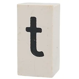 Tile Special 1 x 2 x 5/6 with Stud Hole in End with 't' Print