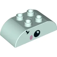 Duplo Brick 2 x 4 Curved Top with Fish Face Print / Light Aqua
