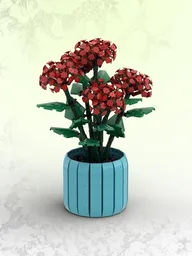 Pentas (BT018)