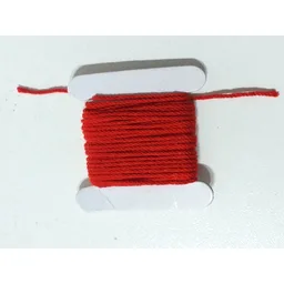 String Cord Medium Thickness 487cm / Red