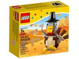 Thanksgiving Turkey