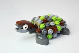 Small Green Turtle