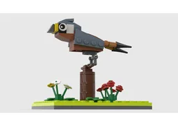 American Kestrel MOC