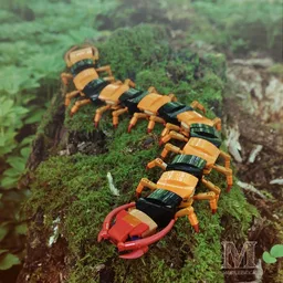 Scalopendra Hardwickei - Tiger Centipede