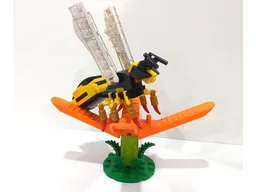 Insect Collection
