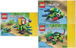 Rainforest Animals