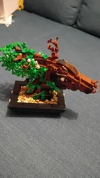 Bonsai Dragon