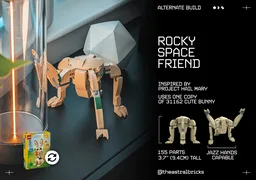 Rocky Space Friend