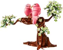 Love Birds