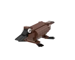 20 Platypus