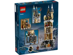Hogwarts Castle Owlery