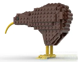 Kiwi Bird