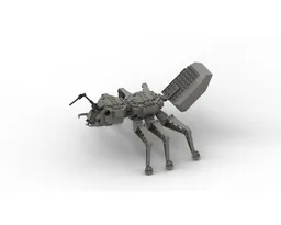 Ant