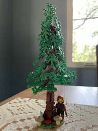 Spruce Tree