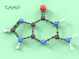 Nucleotides (DNA)